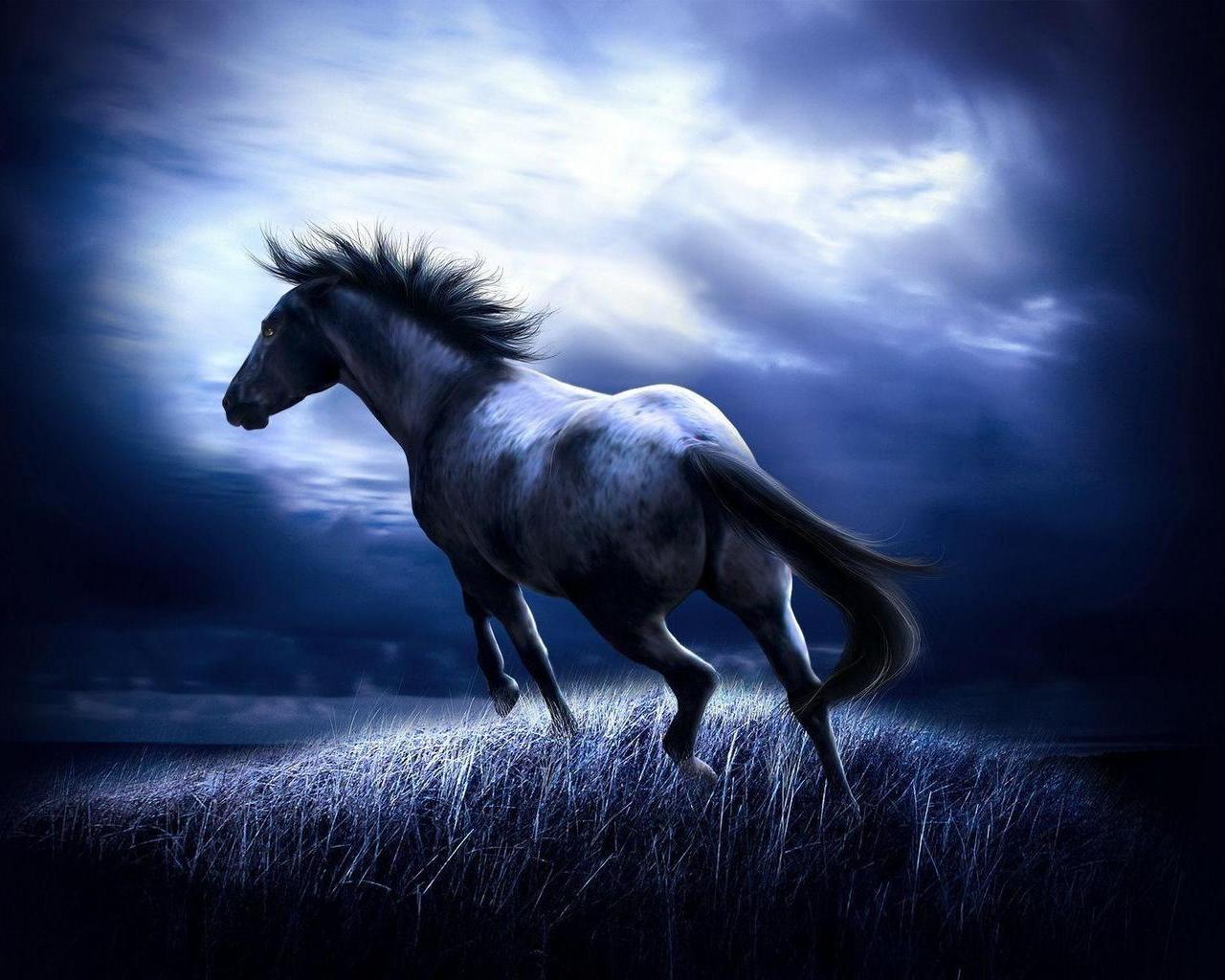 Pictures Horse 3d Desktop Wallpapers and Pictures wallpapers 1280x1024