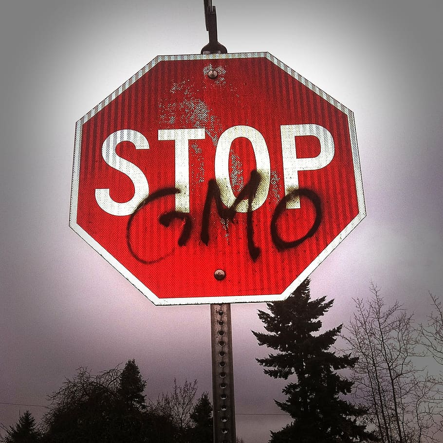 HD Wallpaper Photo Of Red And White Stop Signage Gmo Science