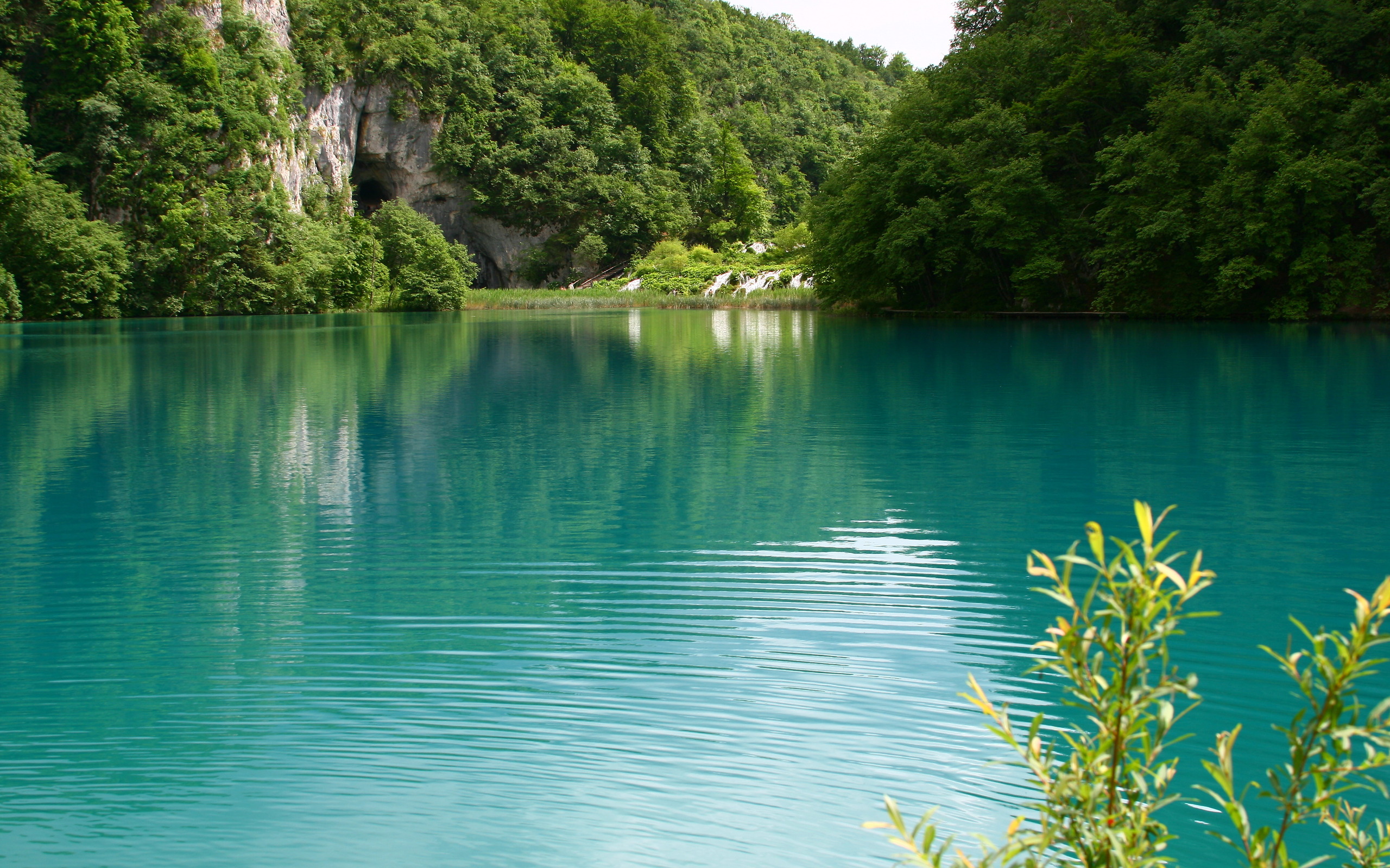 Nature Water Wallpaper HD