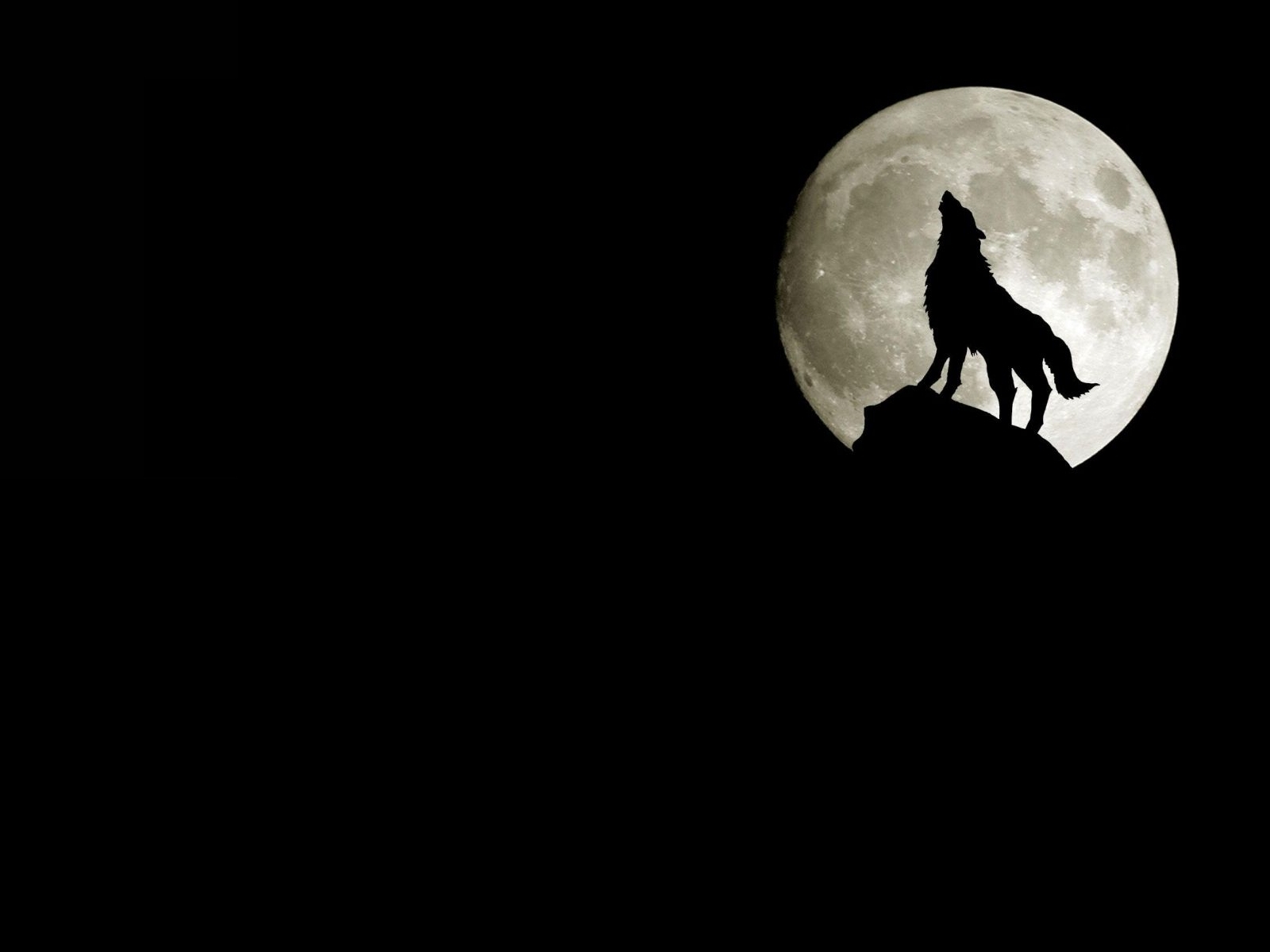 Howling Wolf Wallpaper Full Moon