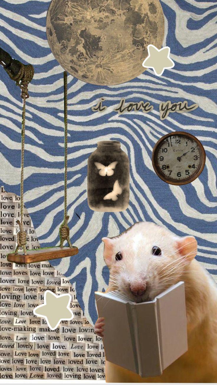 Check out maacifmaacifs Shuffles rat slay bestcollage Funny