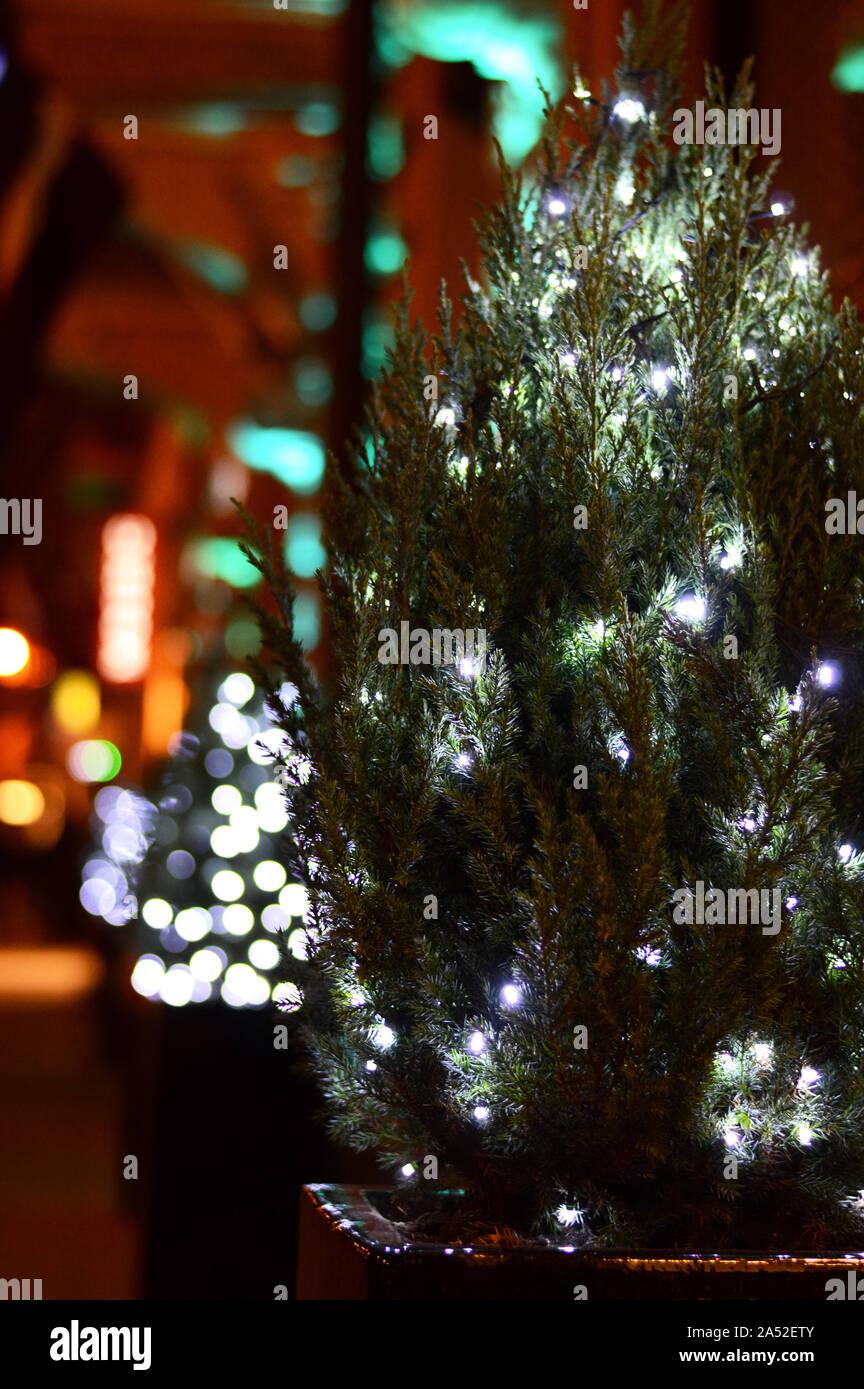 Christmas Outdoor Decoration Led Light Garland On A Festive Tree