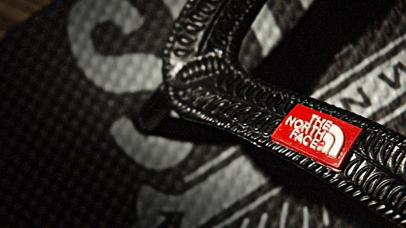 Close-up of The North Face logo on a black sandal