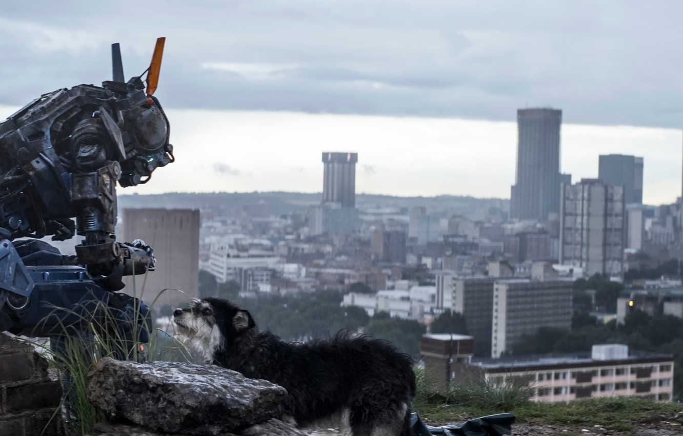 Wallpaper Chappie The Robot Named Chappy I Am Wonder