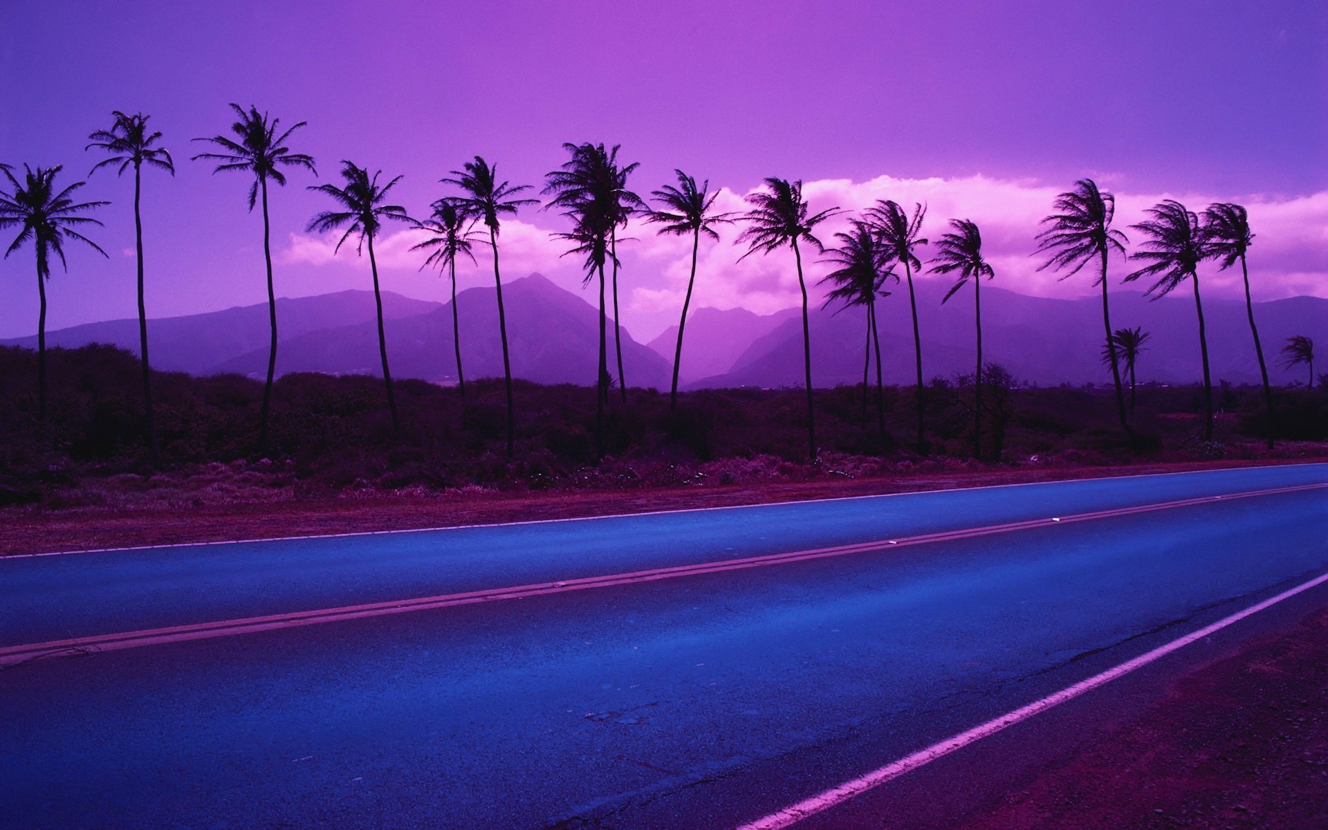 Purple Palm Trees Wallpaper Myspace Background