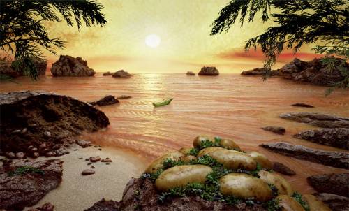 Sunset Vegetable Dreamscape By Carl Warne Desktop Wallpaper X