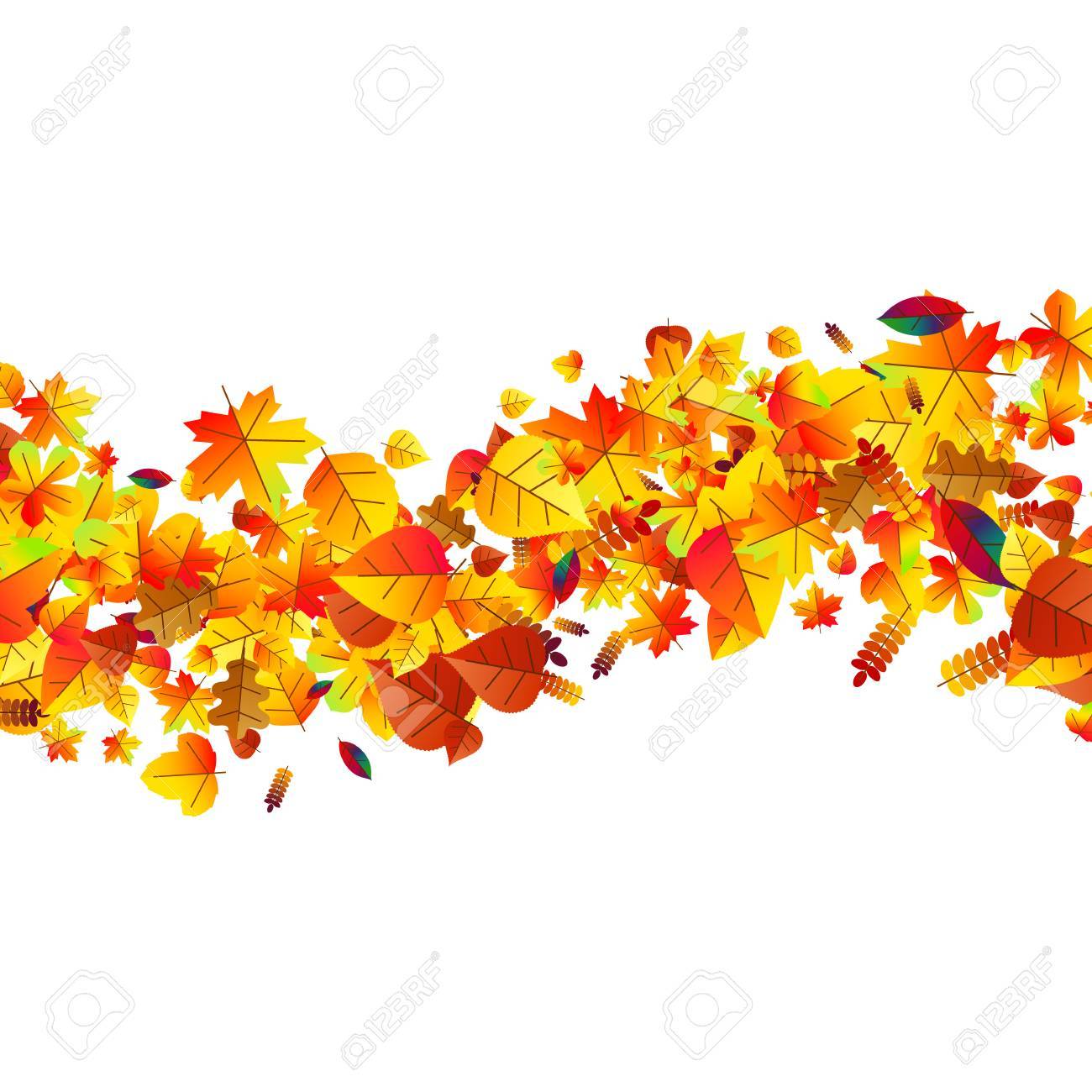 Autumn Leaves Scattered Background With Oak Maple And Rowan