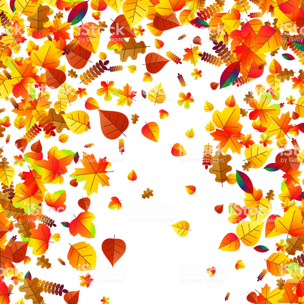 Autumn Leaves Scattered Background Oak Maple And Rowan Stock