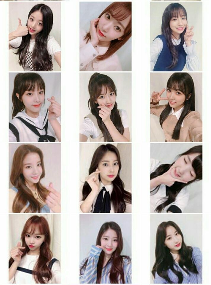 Honda Hitomi Only Pressed Like For Pictures Of Iz One Japanese