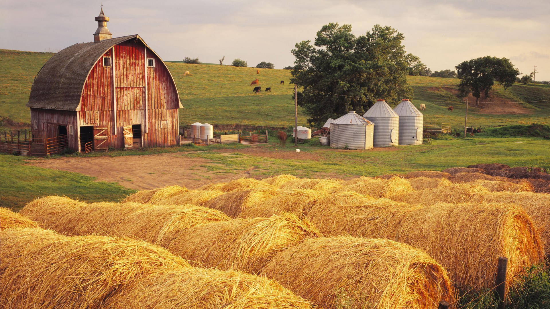 Farm Desktop Wallpaper