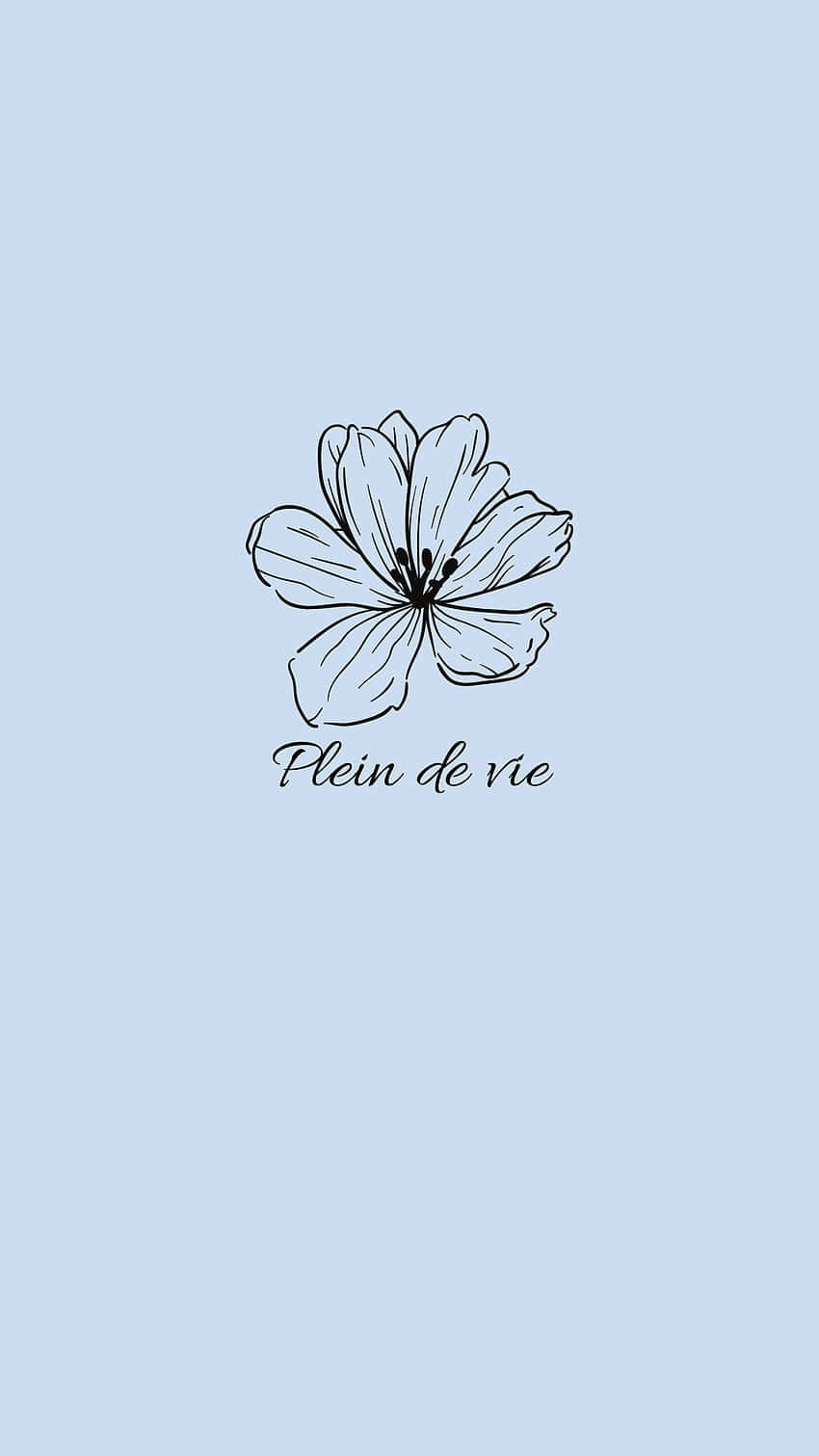 Minimalist Flower Aesthetic Wallpaper