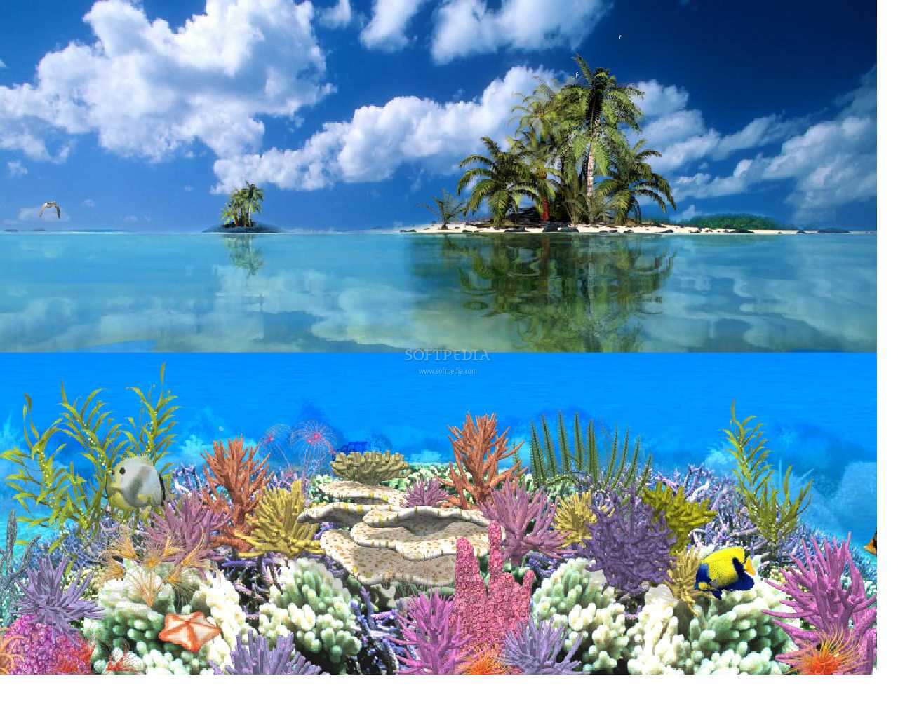Coral Island Animated Wallpaper Screenshots