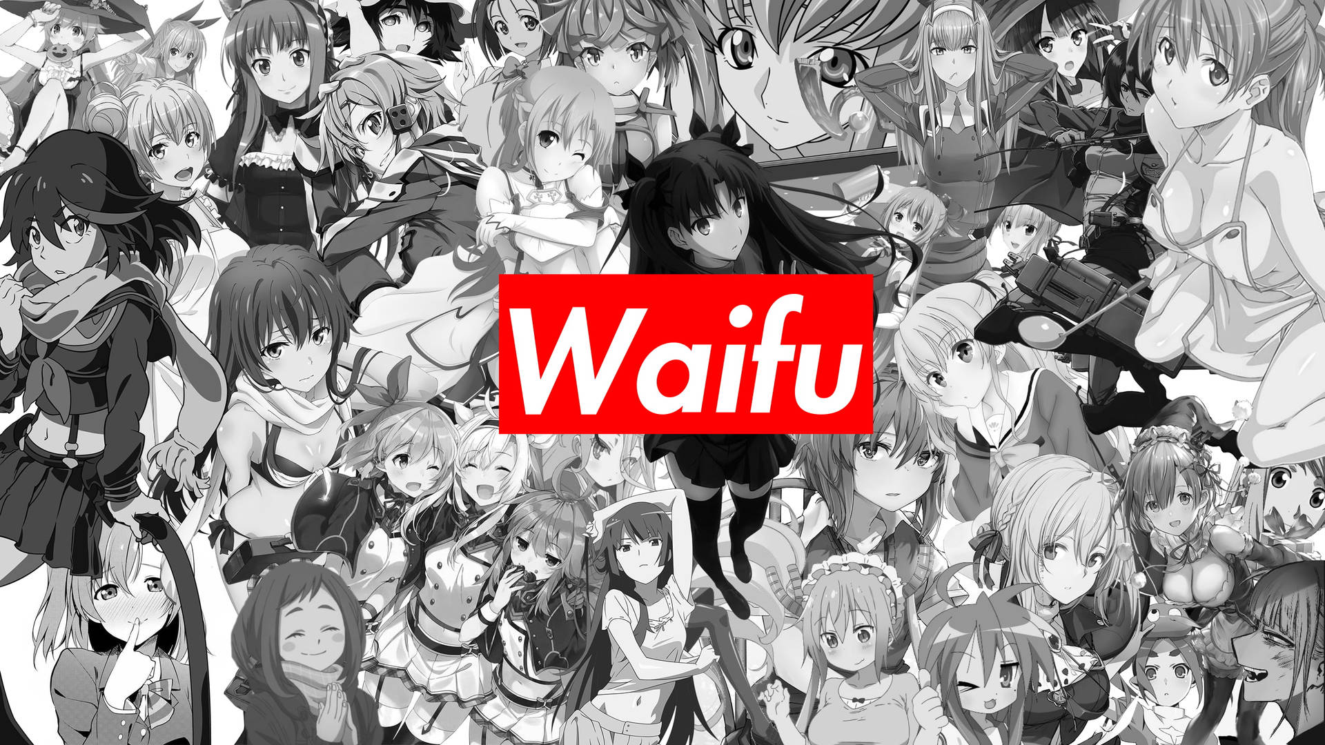 Anime Waifu Wallpaper 4k HD Image