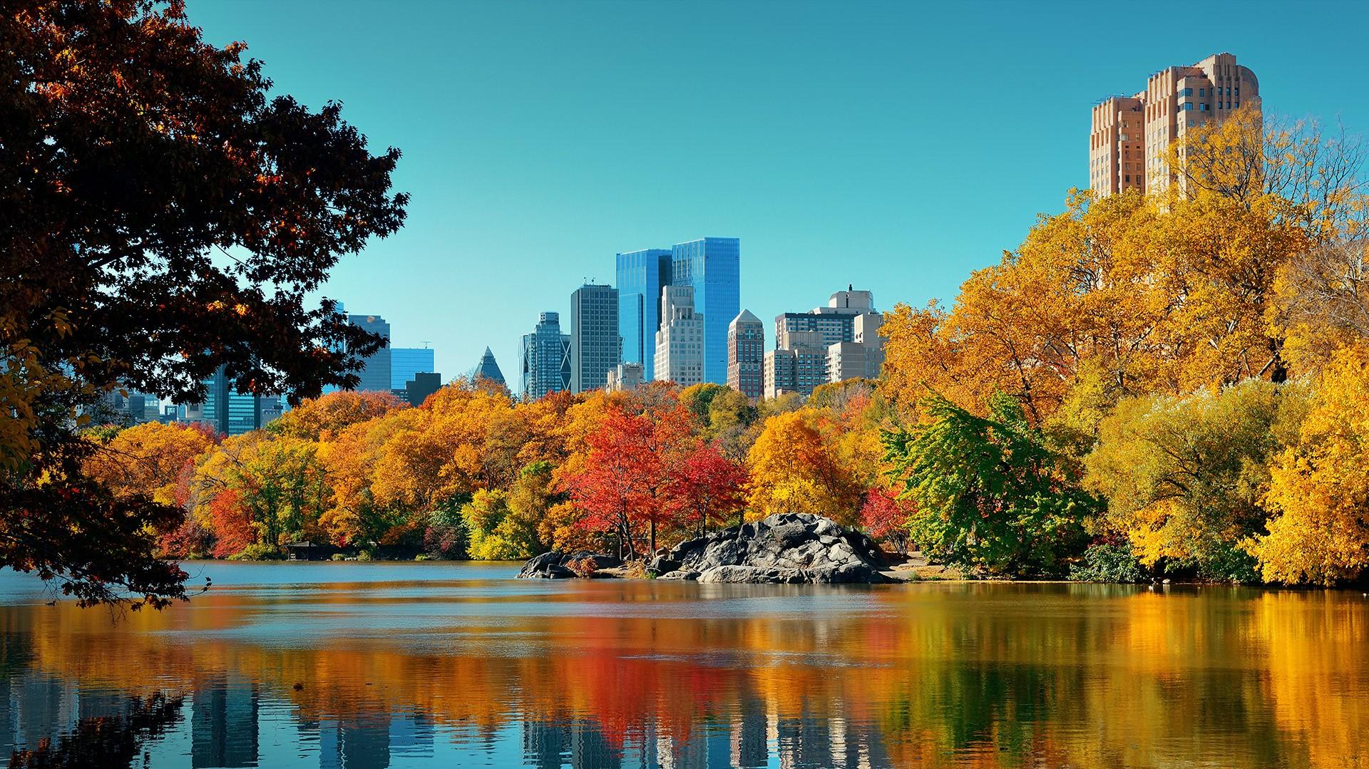 Central Park Autumn And Buildings Reflection In Midtown Manhattan