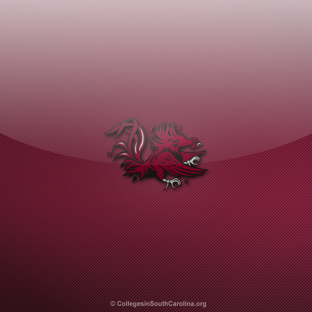 South Carolina Gamecocks iPad Wallpaper Colleges In