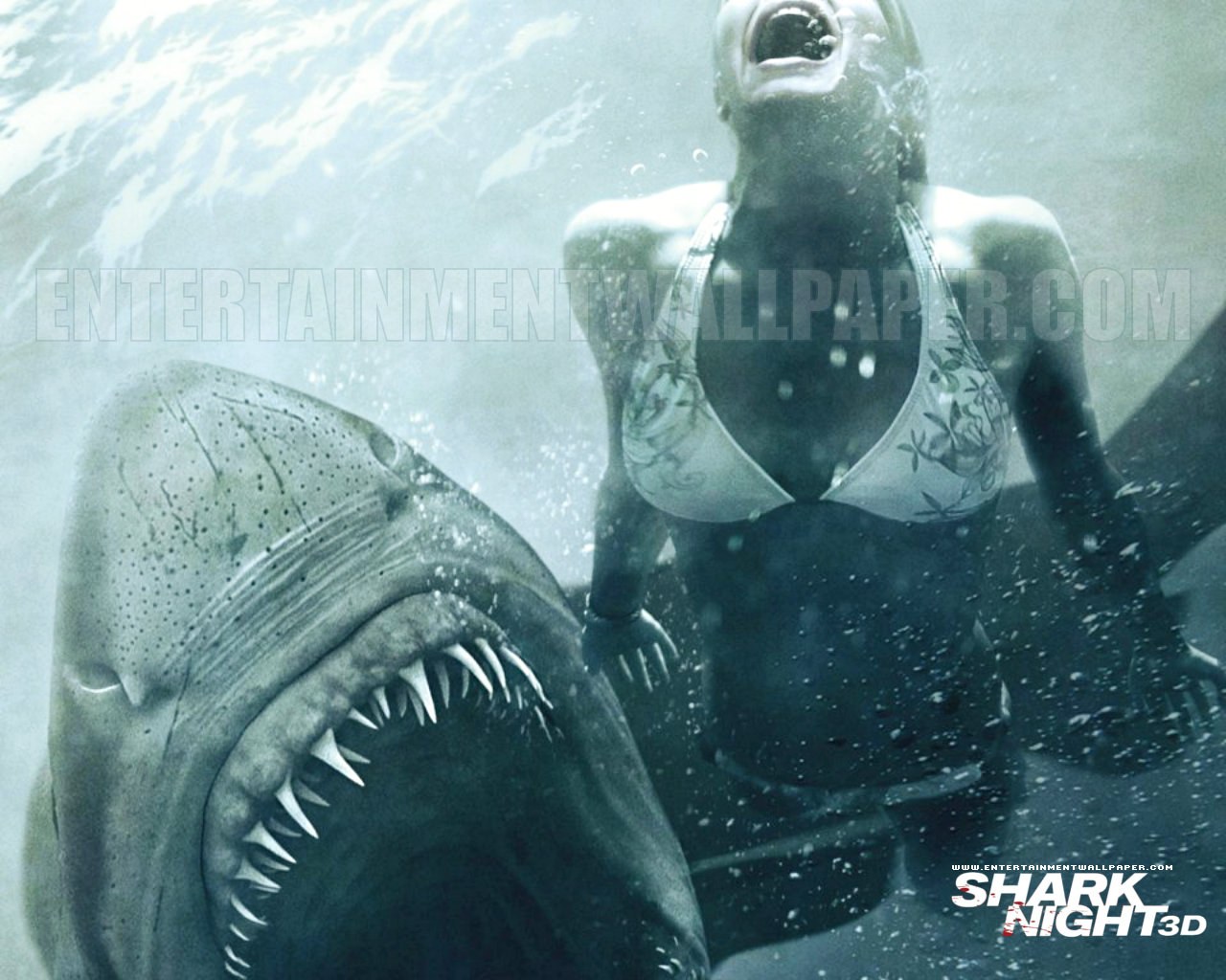 Shark Night 3d Uping Movies Wallpaper