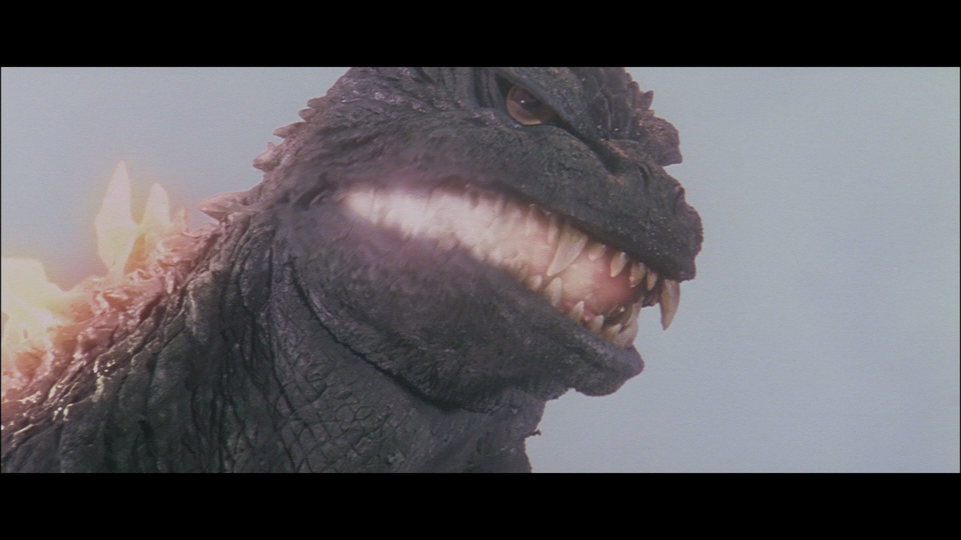 Godzilla Blu Ray Re