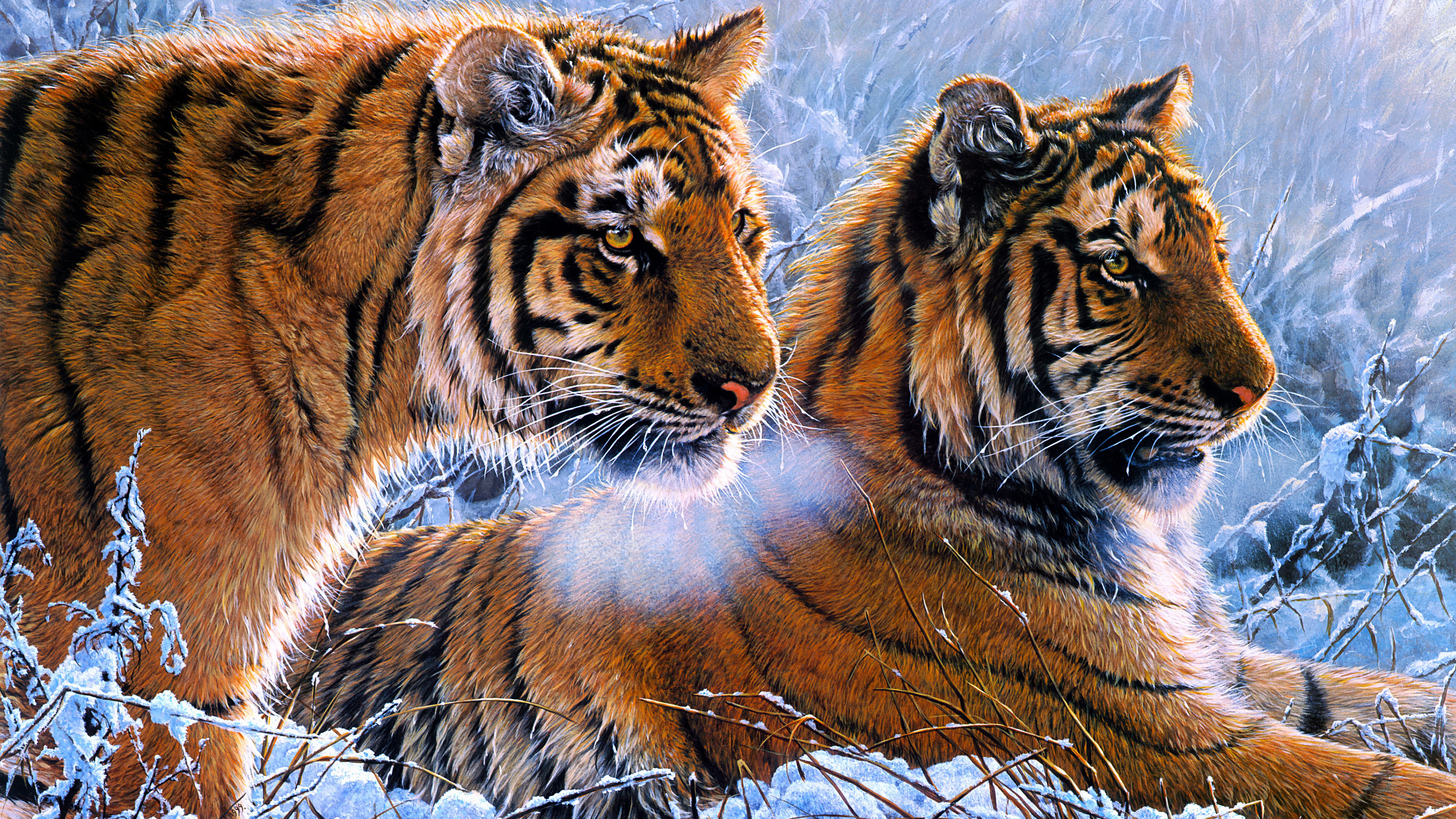 Tigers Oil Paint 4k Wallpaper HD