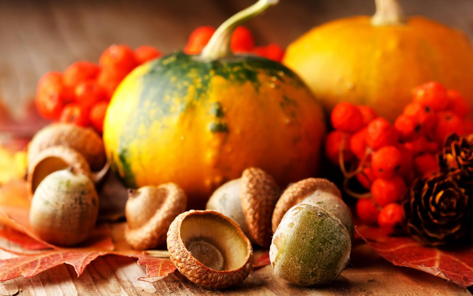 Close-up of autumnal arrangement with pumpkins, acorns, rowan berries, and fall leaves on a wooden table, evoking the spirit of Thanksgiving