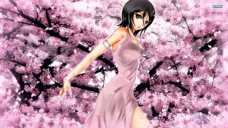 cherry blossom wallpaper desktop anime