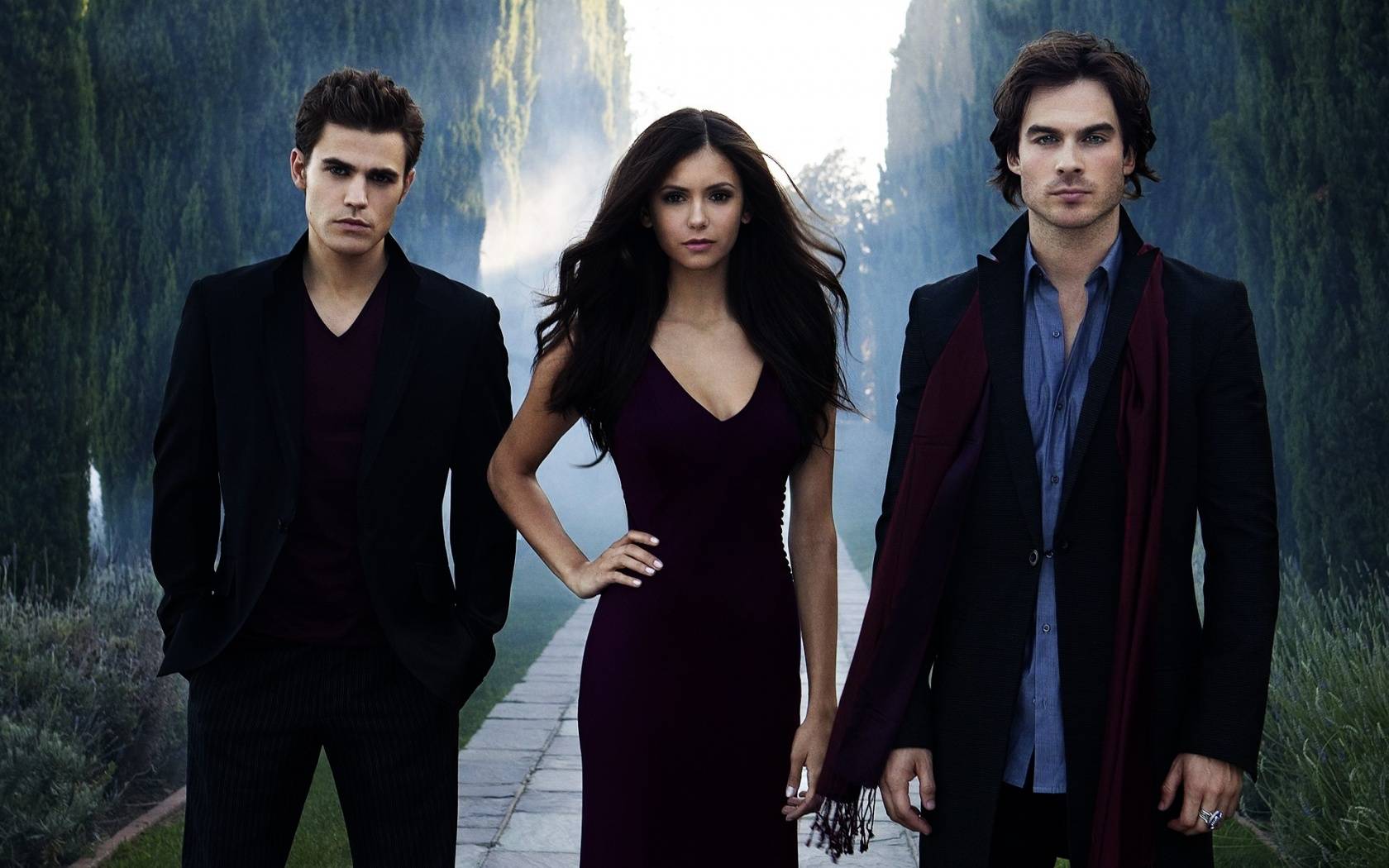 Vampire Diaries The Picture