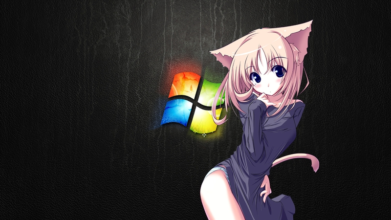 Windows Nekomimi Animal Ears Microsoft Wallpaper