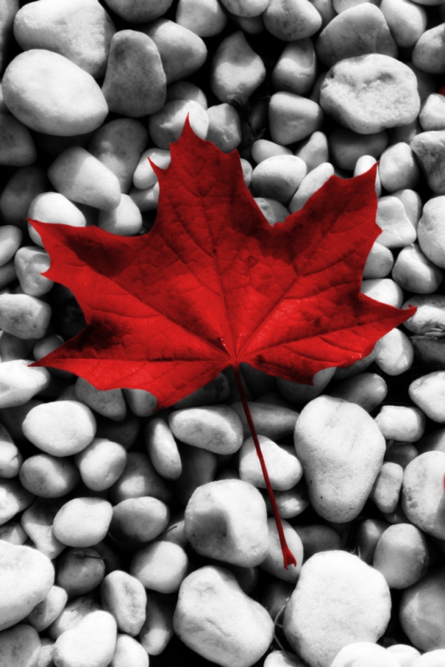 Wallpaper Flag Canada Leaves Stones iPhone 4s