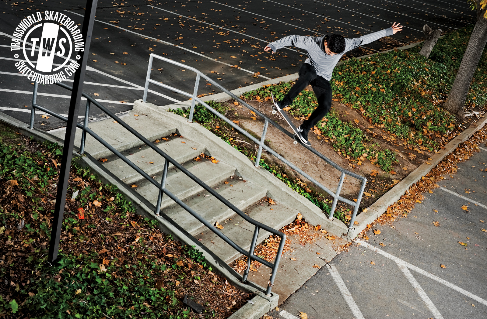 Wednesday Wallpaper Daryl Angel Transworld Skateboarding