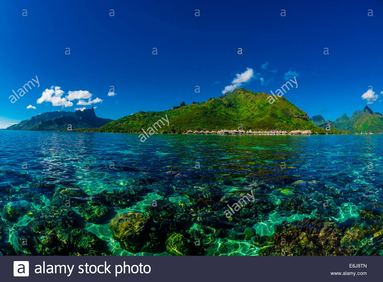 [51+] Moorea Backgrounds | WallpaperSafari
