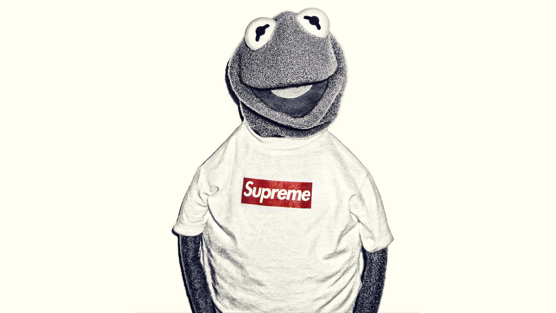 Aesthetic Kermit Wallpaper