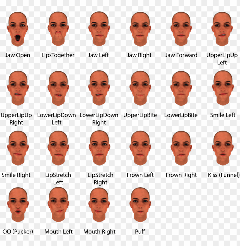 Facial Expressions In Binaryvr Sdk Face Expression Types Png