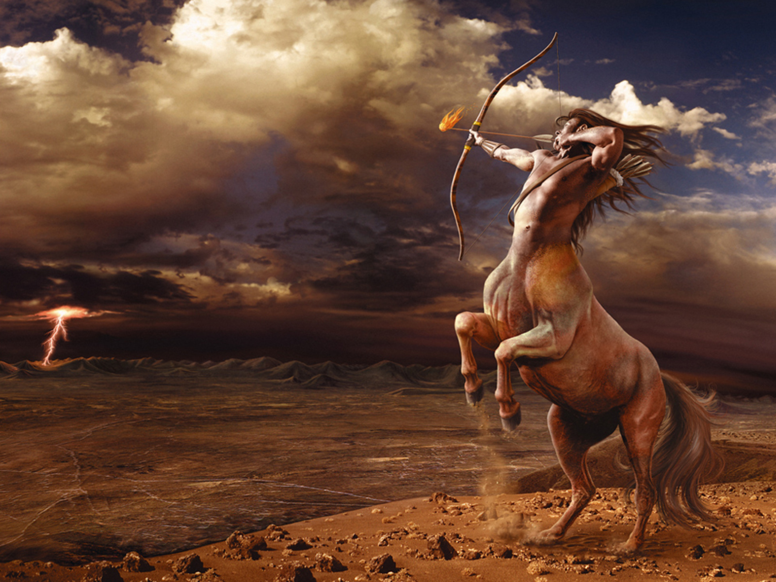 Horse Wallpaper Awesome Pair
