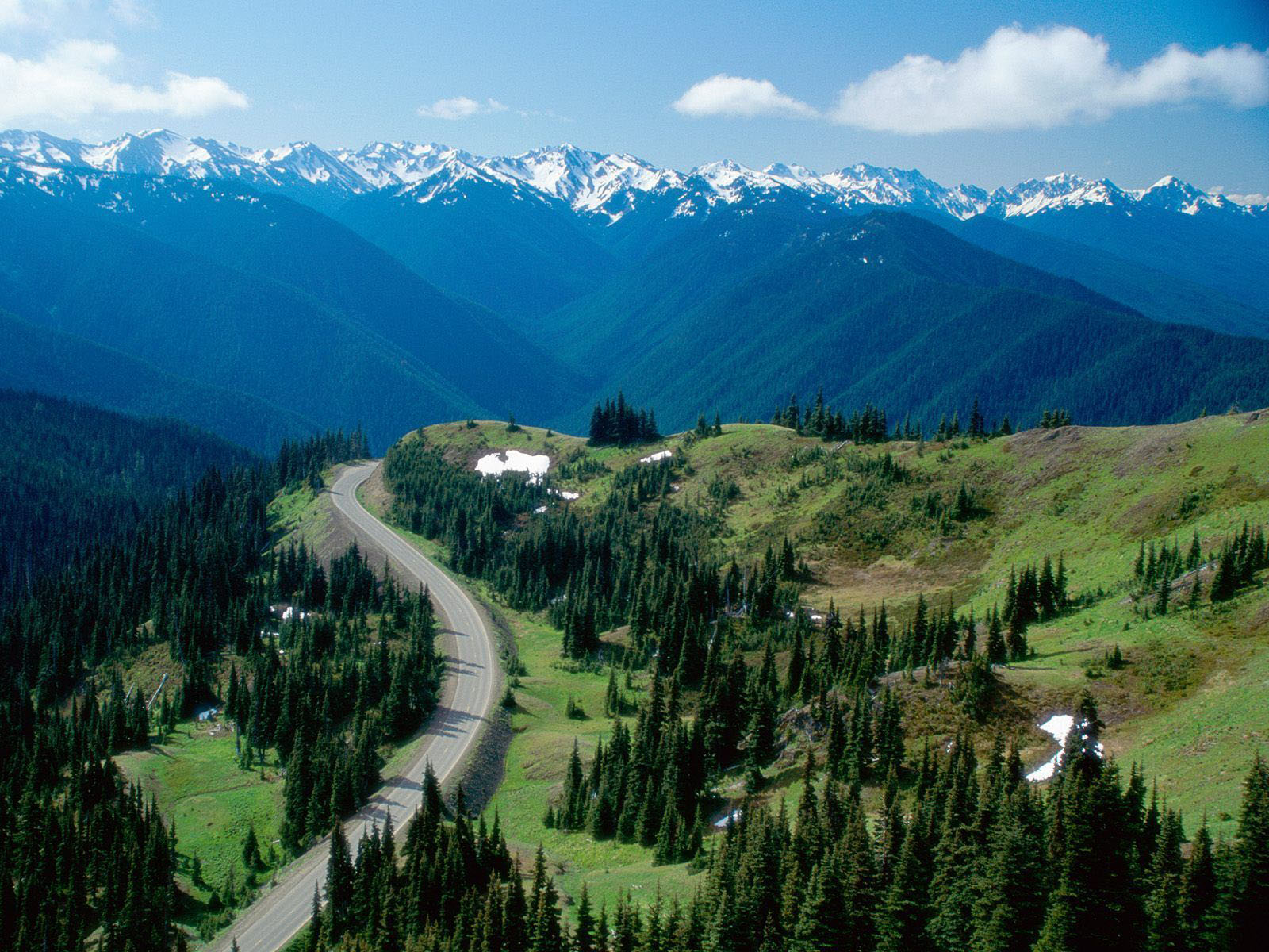 Olympic National Park Wallpaper Art And Home HD