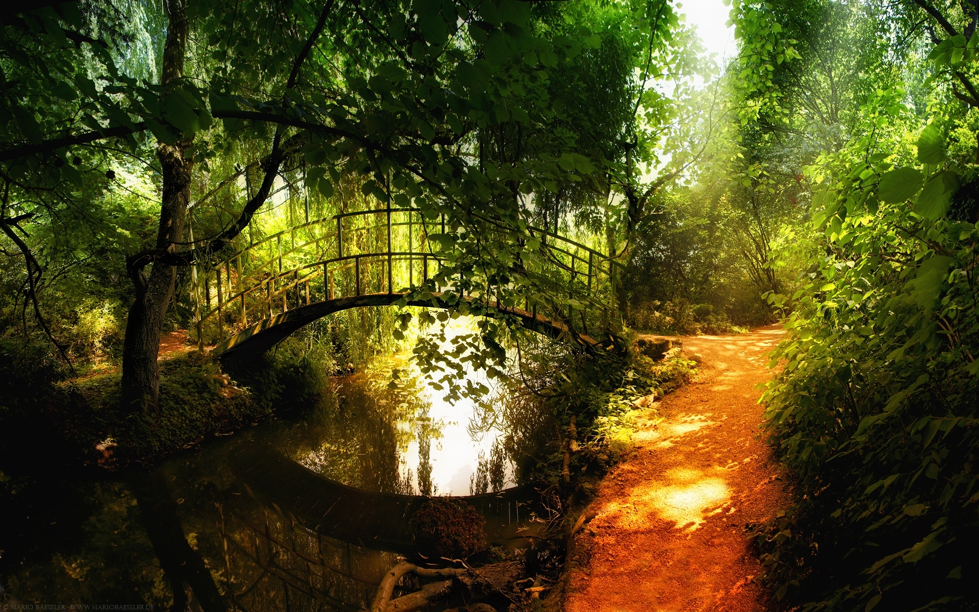 Bridge Over Forest River Wallpaper And Image Pictures