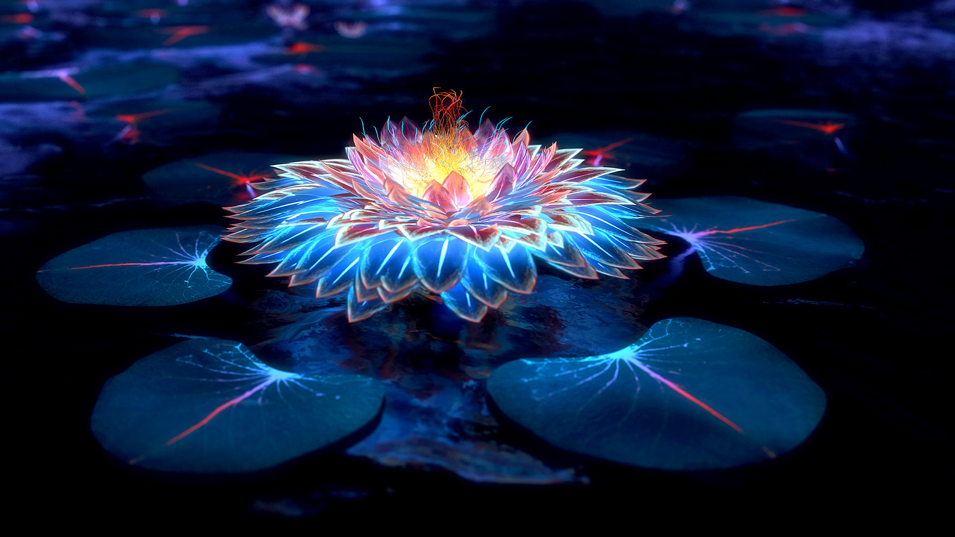 Lotus Flower Wallpaper