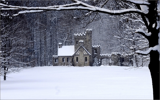 House Snow Winter Castle Trees Forest The Paper Wall