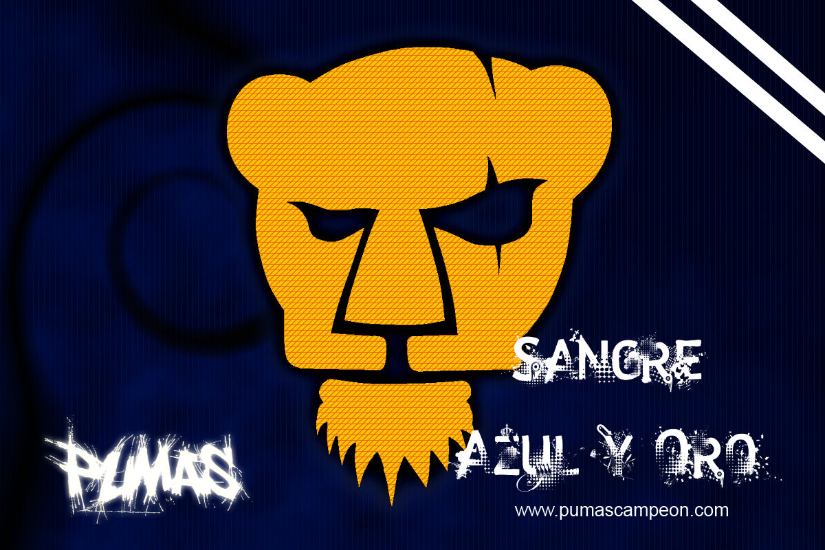 Pin Pumas Unam Wallpaper Football And Videos Pictures