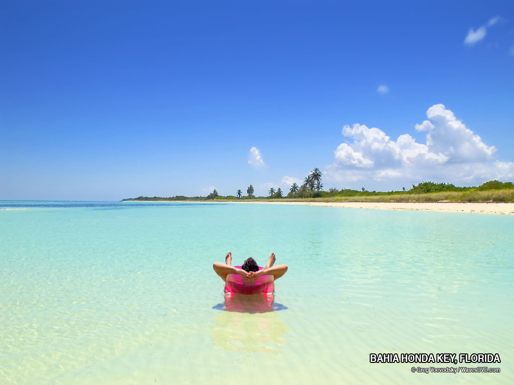 Florida Beaches Beach Photo Desktop Background Nature