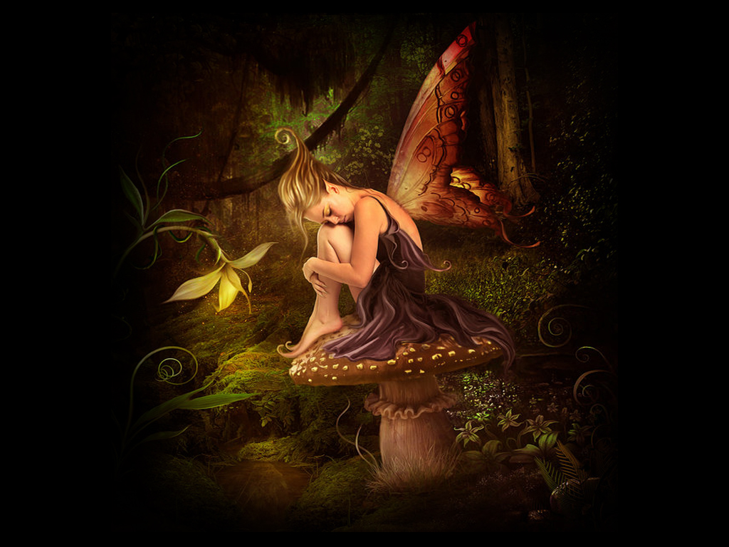 Night Fairy Wallpaper here you can see Beauty Night Fairy Wallpaper