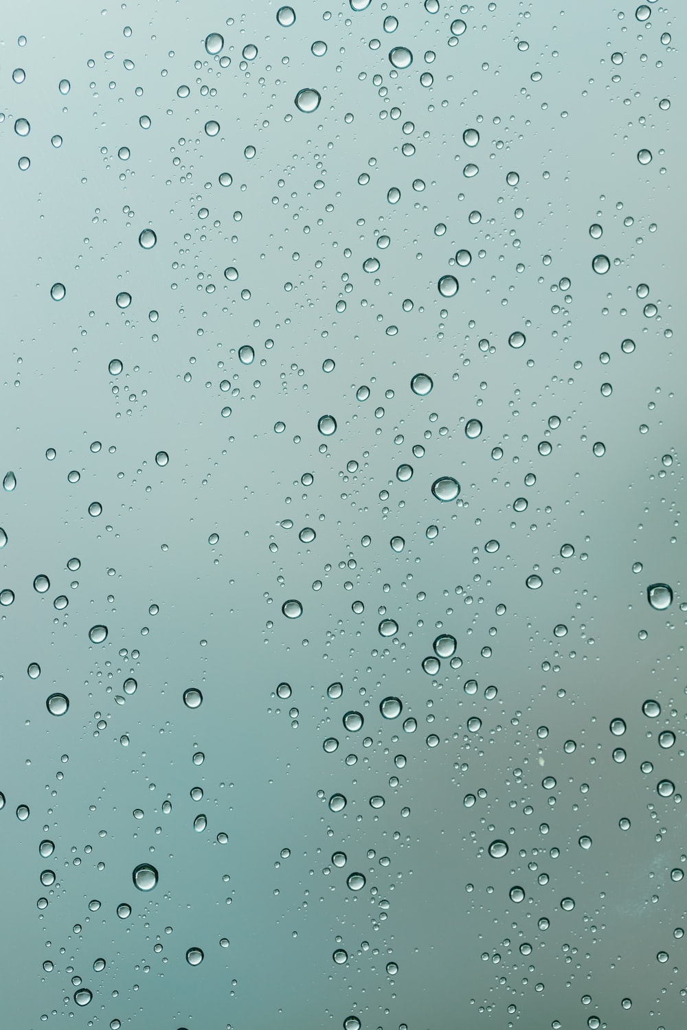 Rain Drops On Window Pictures Download Free Images on
