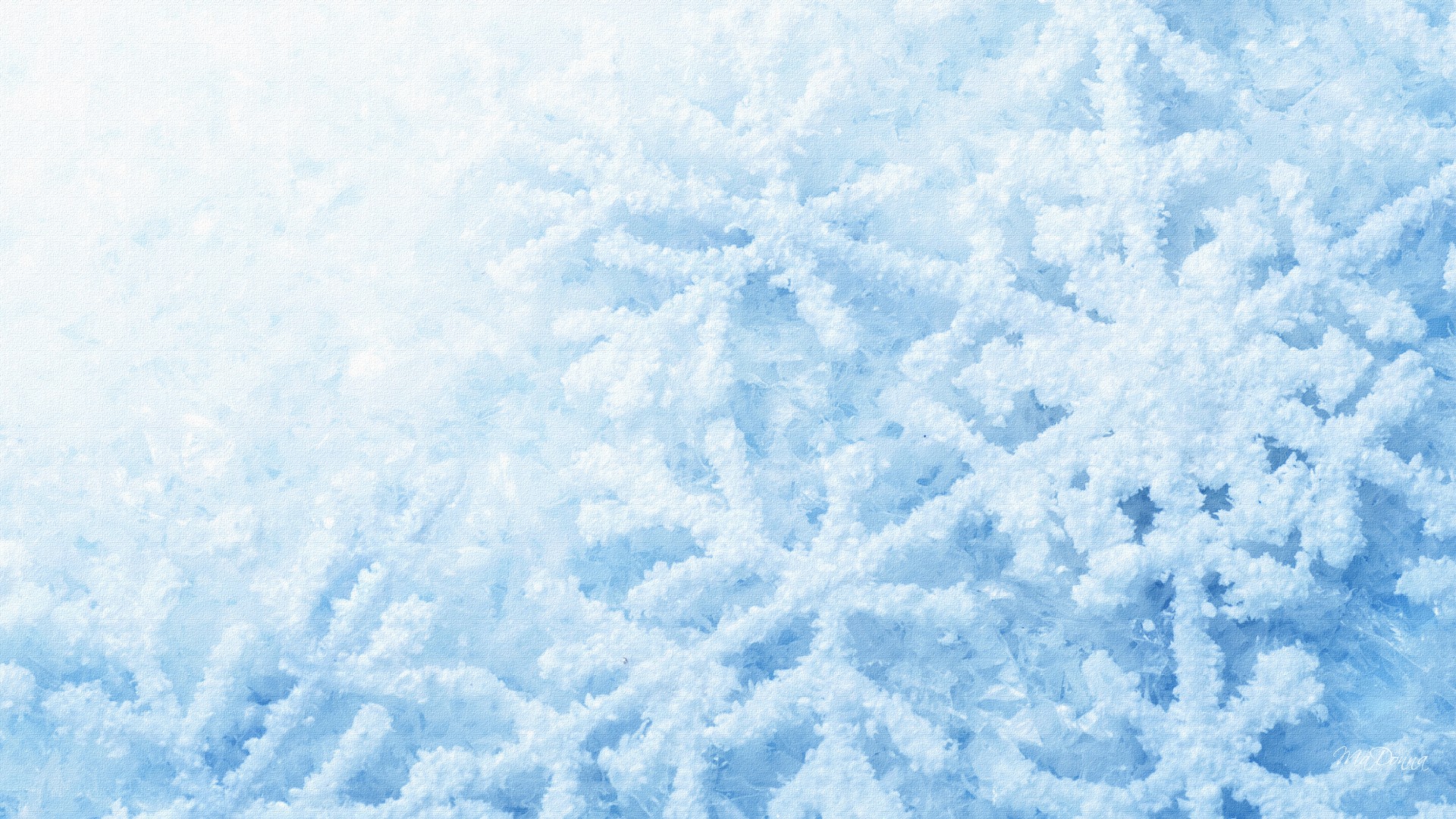 Snowflake 1080p Wallpaper High Definition Quality