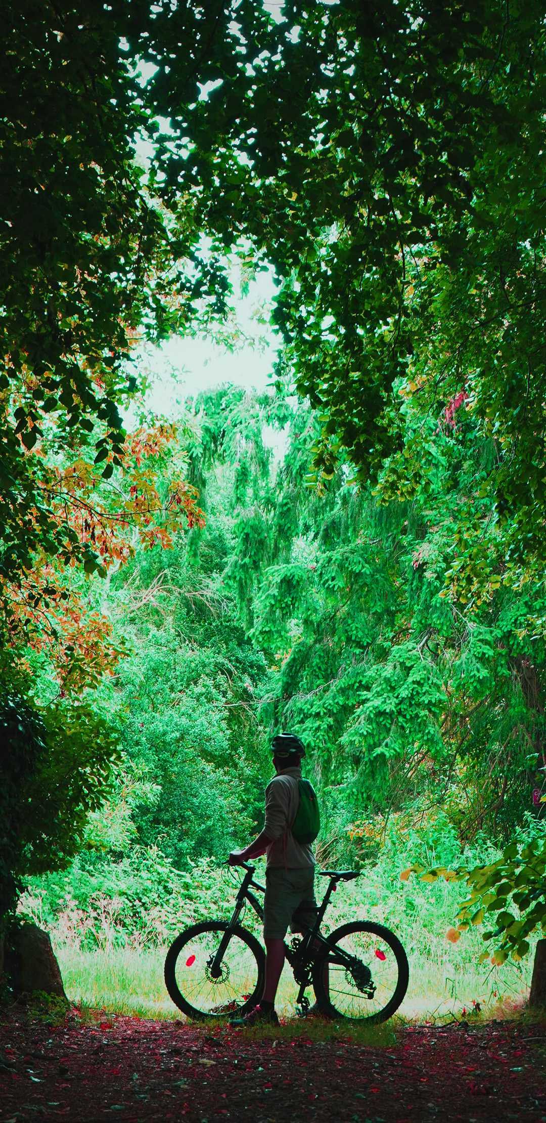 Mtb Wallpaper