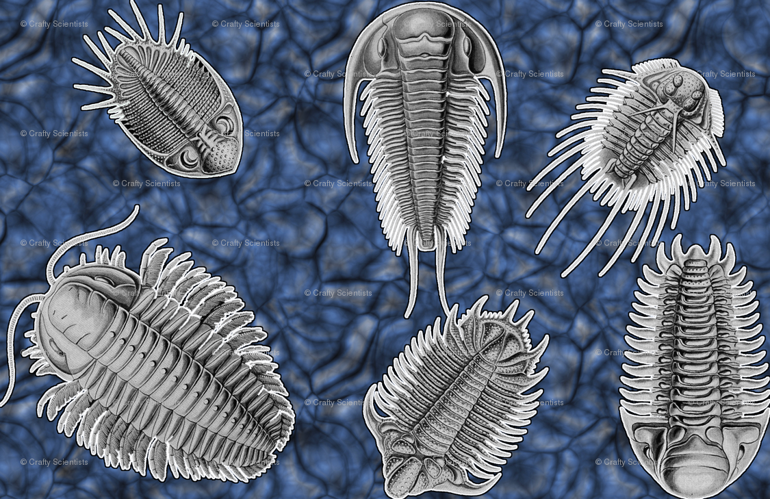 Trilobites Blue Wallpaper Craftyscientists Spoonflower