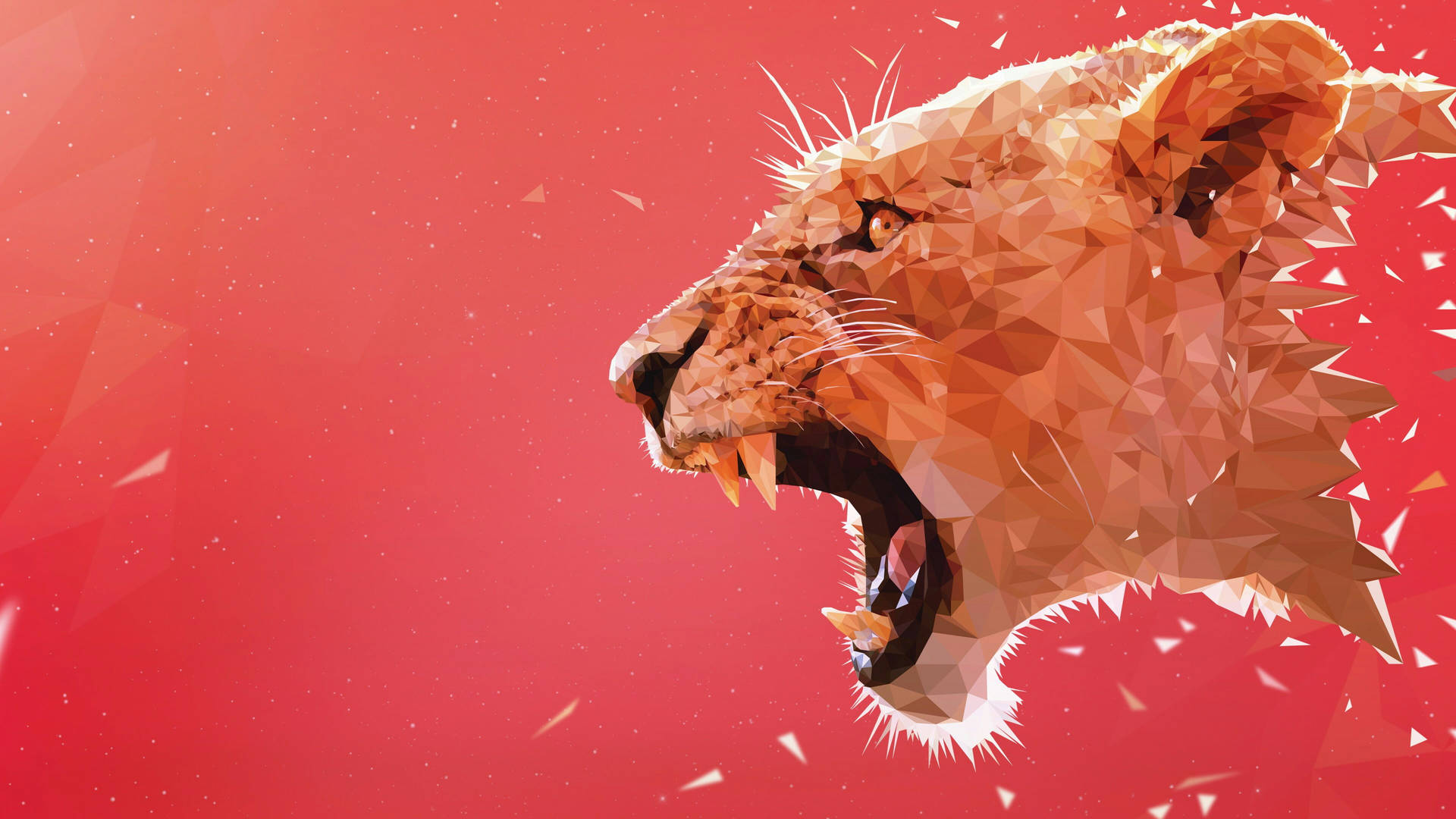 Angry Lion Wallpaper