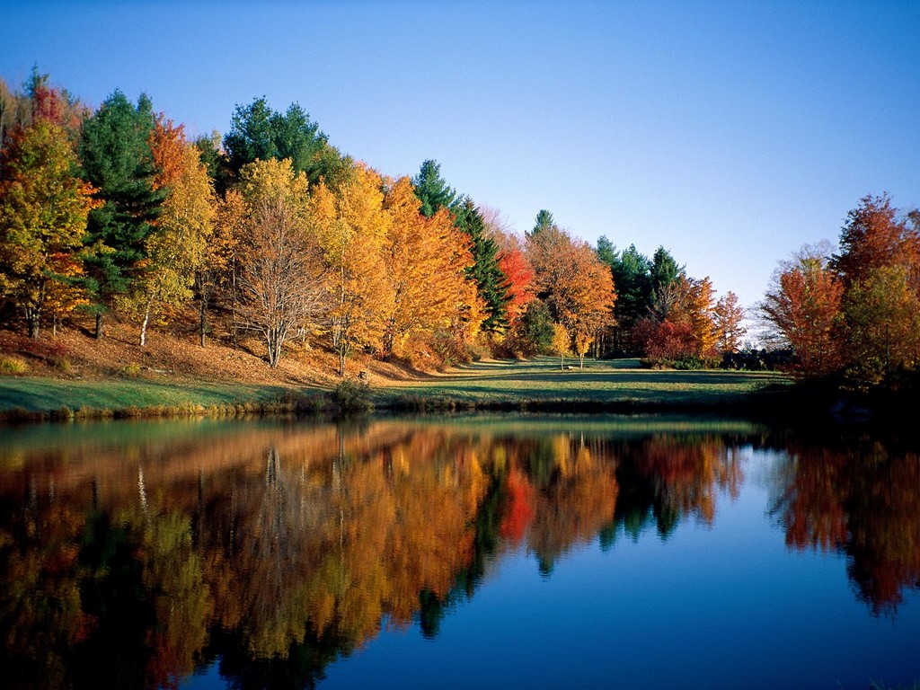 Fall Nature Lake Wallpaper Autumn