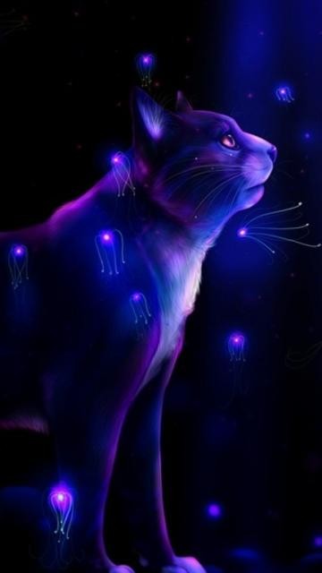 Neon cat - Fantasy & Abstract Background Wallpapers on Desktop Nexus (Image  2174861)