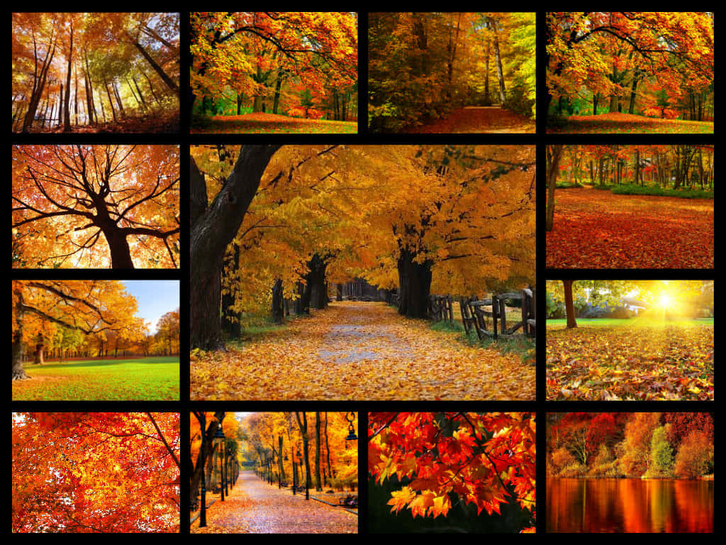 X Autumn Wallpaper