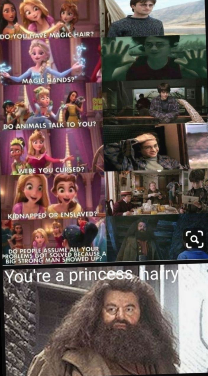 Funny Disney Wallpaper Hilarious Harry Potter Jokes