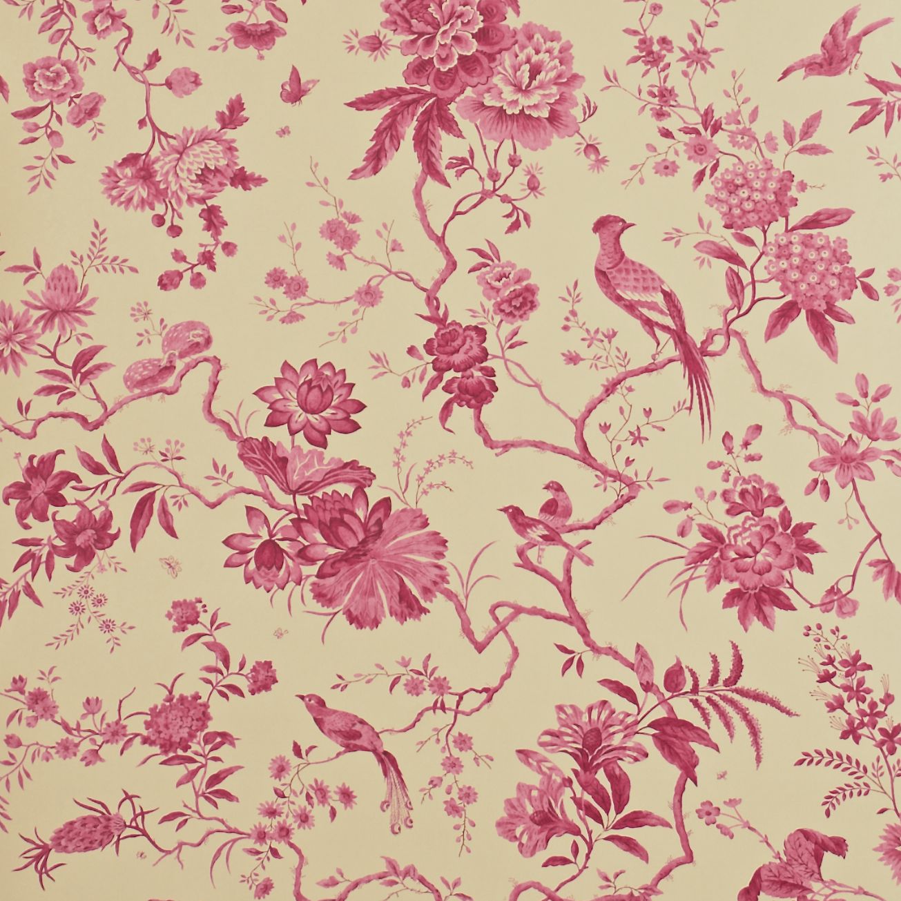  Toile Wallpaper Pemberley Wallpaper Collection Sanderson Wallpaper 1305x1305