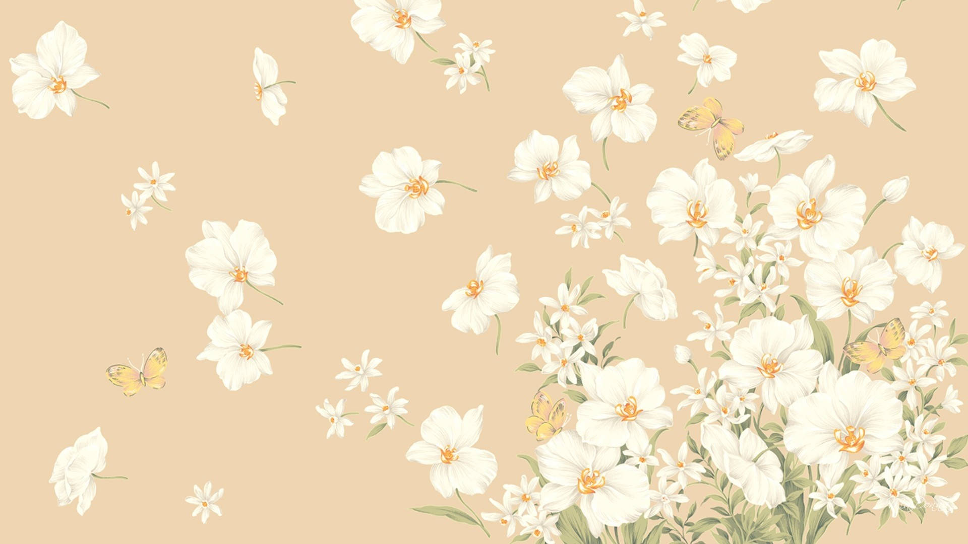 Beige Aesthetic Laptop Wallpaper